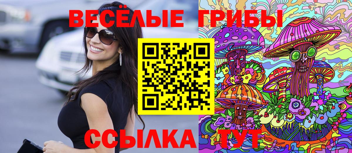 Магнитогорск  Псилоцибиновые грибы MAGIC MUSHROOMS  Псилоцибиновые грибы Psilocybine cubensis  Вход с VPN 