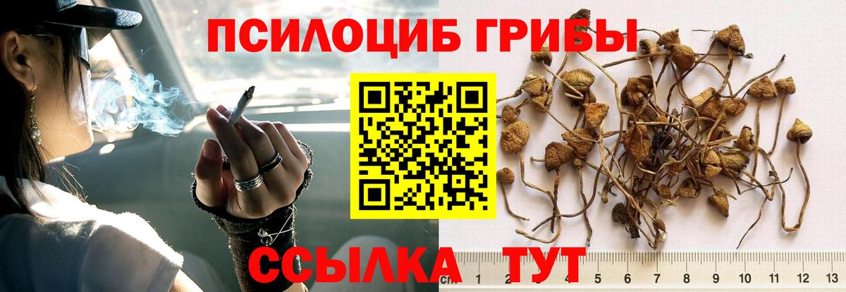 Псилоцибиновые грибы Magic Shrooms Магнитогорск